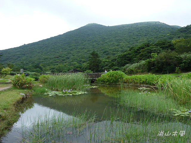 二子坪