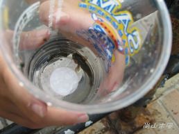 淡水二、三事（4）淡水河畔
