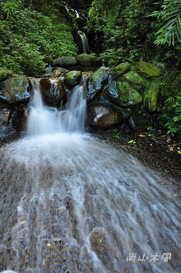 惠蓀林場（五）涉水步道