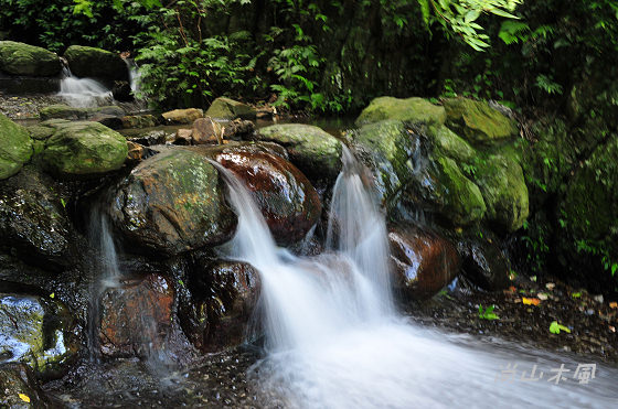 惠蓀林場（五）涉水步道