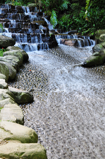 惠蓀林場（五）涉水步道