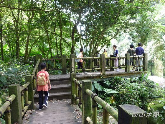 踏青到苗栗（一)  蓬萊溪護魚步道／桐花公園