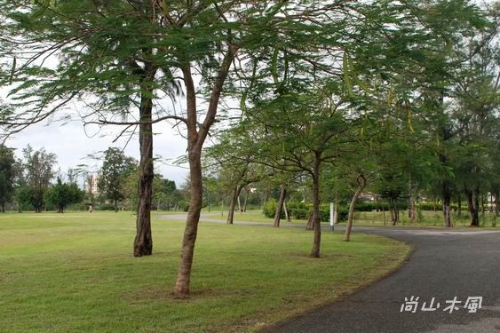 2007花蓮、台東隨興玩（6）森林公園／海濱公園