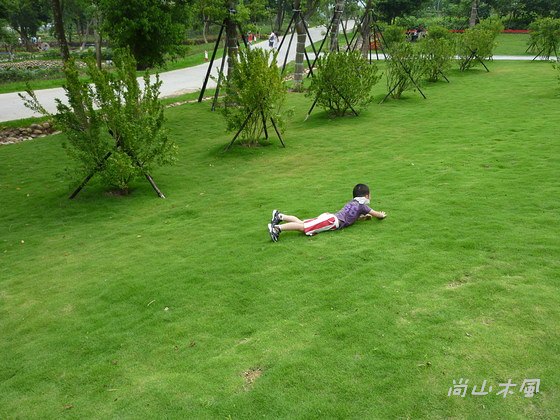 踏青到苗栗（一)  蓬萊溪護魚步道／桐花公園