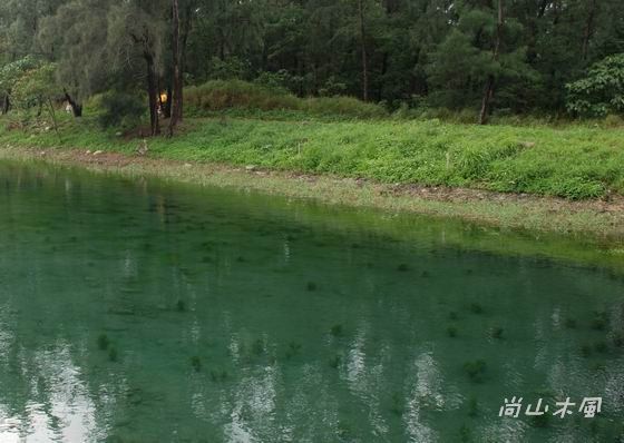 2007花蓮、台東隨興玩（6）森林公園／海濱公園