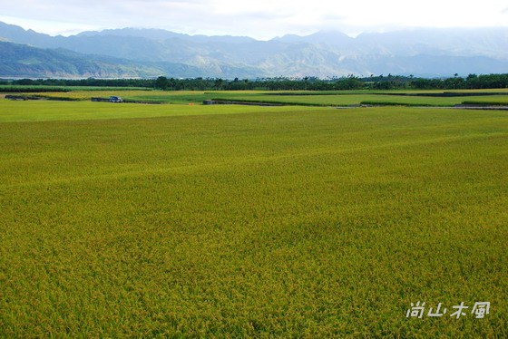 2007花蓮、台東隨興玩（1）逍遙行程
