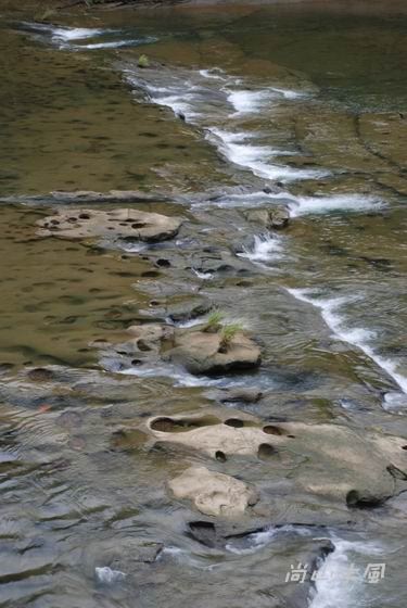 2007山城鐵道之旅 （四）美哉十分