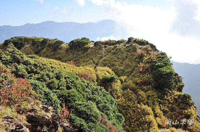 合歡山（14）合歡東峰