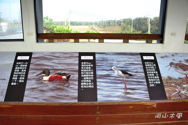 漫遊東石、布袋（三）鰲鼓溼地（2）