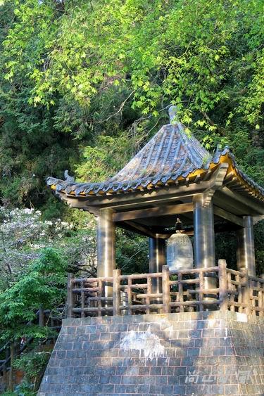 賞櫻到阿里山（十一）其他景點