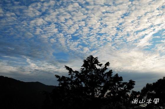 賞櫻到阿里山（六）夕照、晚霞與雲海之美