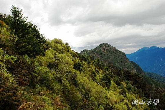 健行在塔塔加（二）