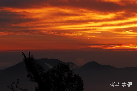 賞櫻到阿里山（六）夕照、晚霞與雲海之美