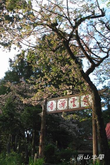 賞櫻到阿里山（十一）其他景點