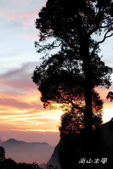 賞櫻到阿里山（六）夕照、晚霞與雲海之美