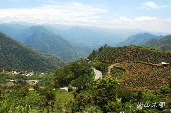 賞櫻到阿里山（二）路過觸口、行經隙頂