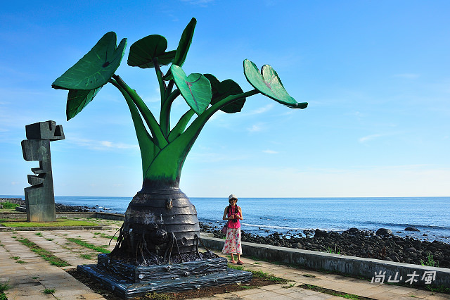 行經北海岸