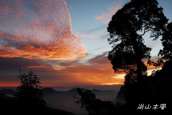 賞櫻到阿里山（六）夕照、晚霞與雲海之美
