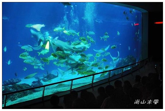 墾丁真的天氣晴（六）國立海洋生物博物館