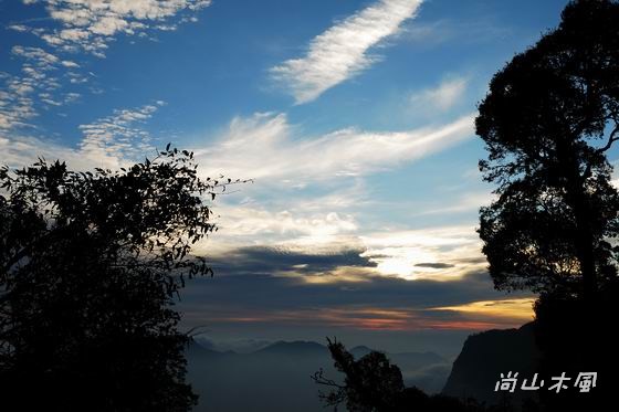 賞櫻到阿里山（六）夕照、晚霞與雲海之美