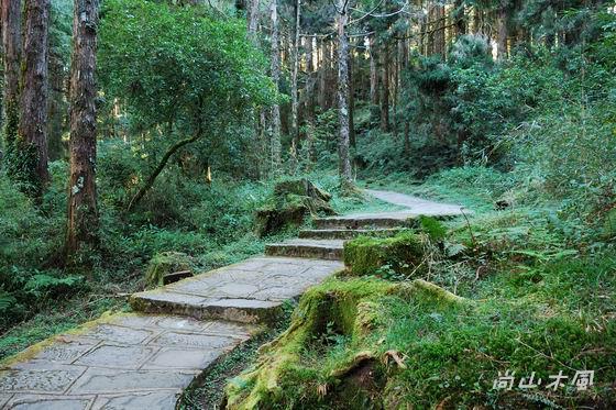 賞櫻到阿里山（十一）其他景點