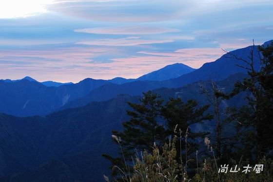 賞櫻到阿里山（七）日出之美