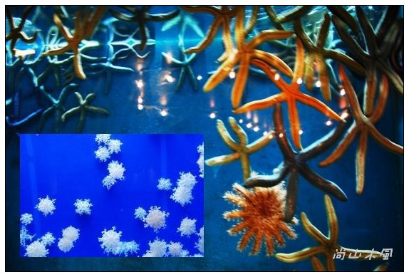 墾丁真的天氣晴（六）國立海洋生物博物館