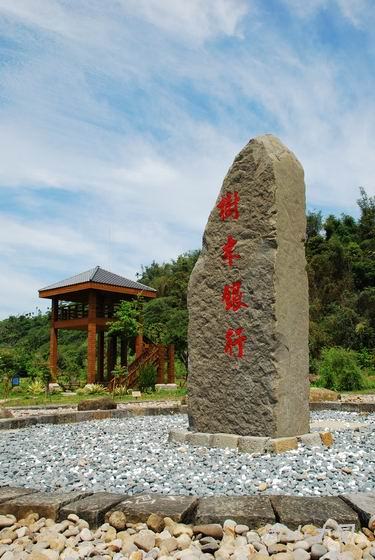賞櫻到阿里山（二）路過觸口、行經隙頂