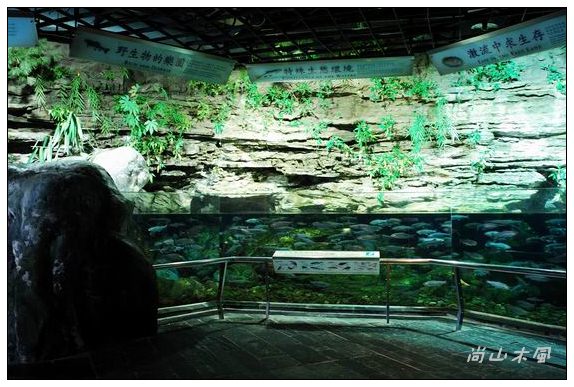 墾丁真的天氣晴（六）國立海洋生物博物館