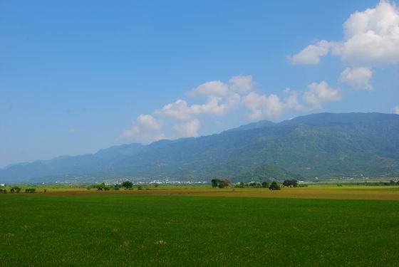 兜風在花東北環路上（二）瑞穗牧場