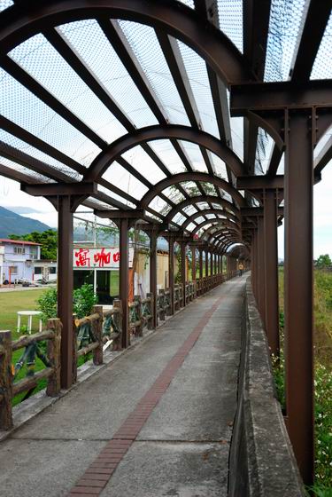 徜徉花東縱谷（三）樂騎單車遊關山－－親水段