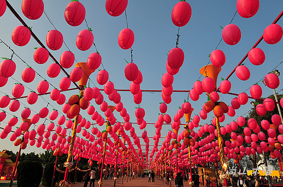 2011台灣燈會在苗栗（一）