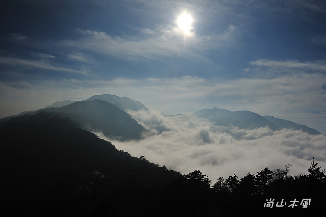 觀霧（8）雲霧步道