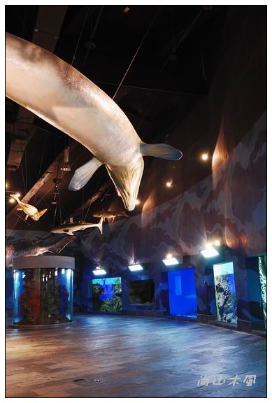 墾丁真的天氣晴（六）國立海洋生物博物館