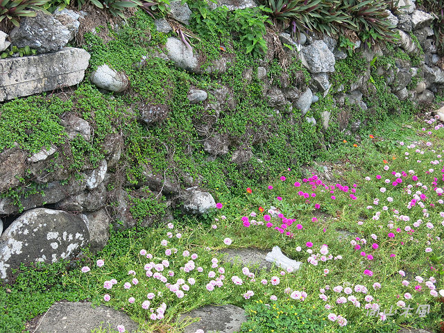 島遊蘭嶼（28）紅頭部落（Imourod）