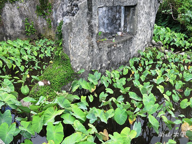 島遊蘭嶼（28）紅頭部落（Imourod）
