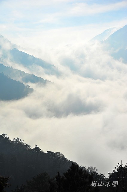觀霧（8）雲霧步道