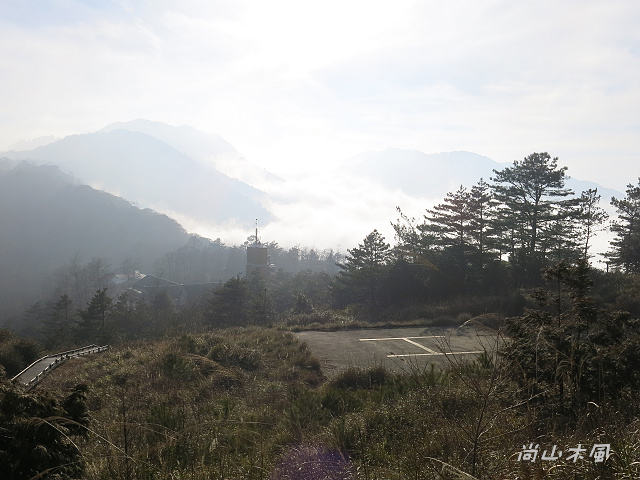 觀霧（8）雲霧步道
