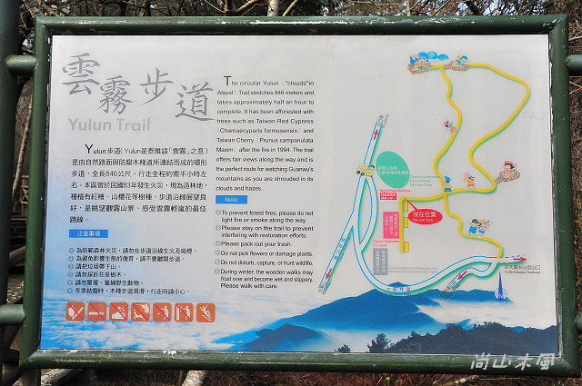 觀霧（8）雲霧步道