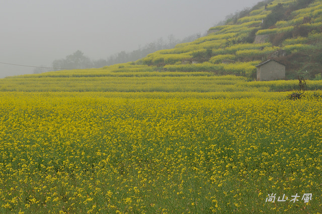 花艷貴州（10）雲山屯──本寨（一）