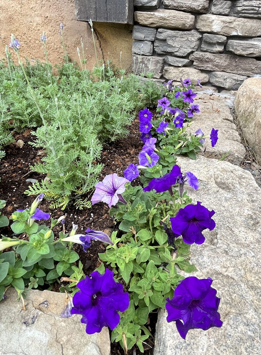 跟著班長去旅行(4)歐樂沃築夢城堡 - 第43張圖