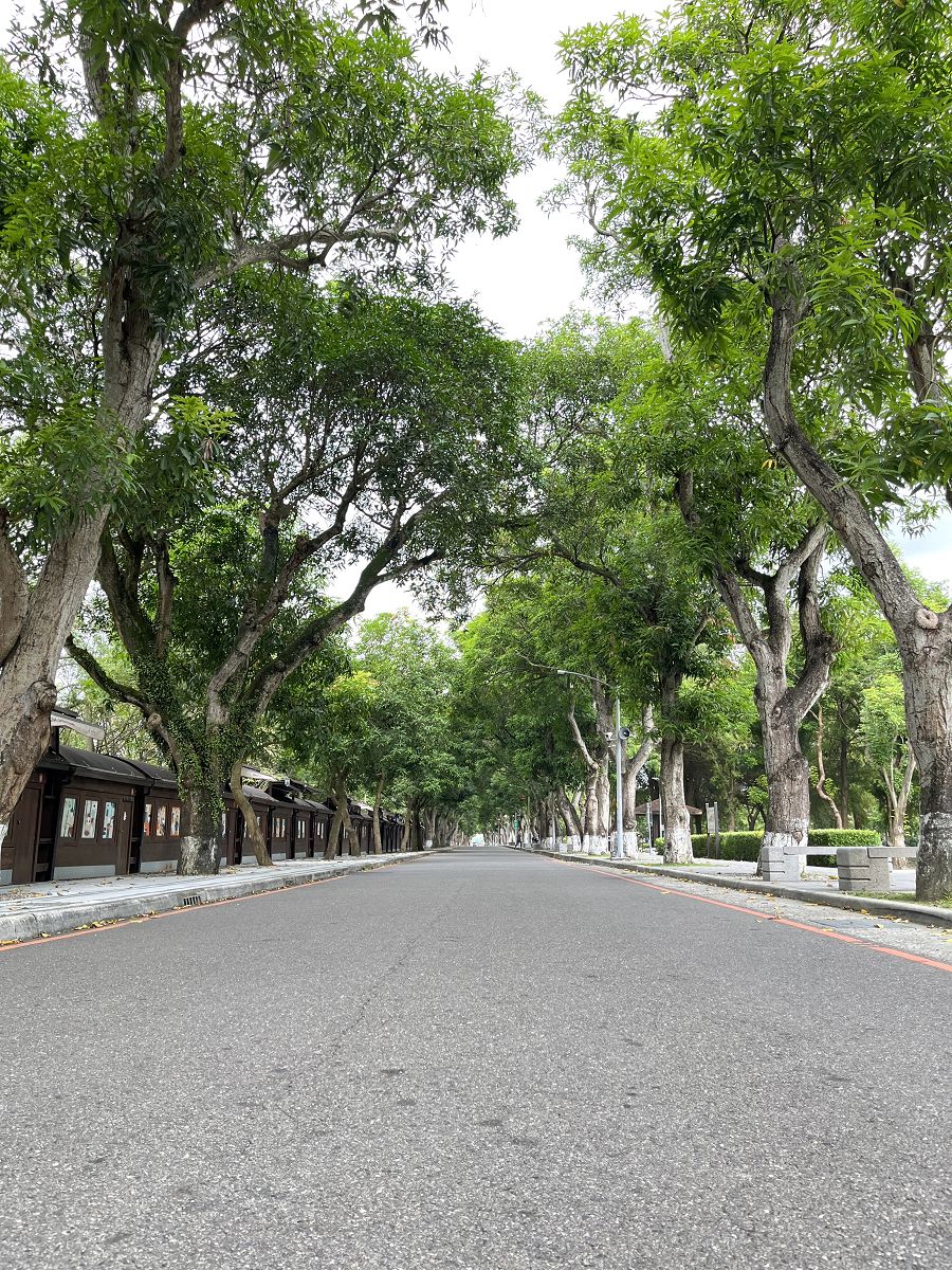 跟著班長去旅行(6)散策在古坑綠色隧道 - 第11張圖