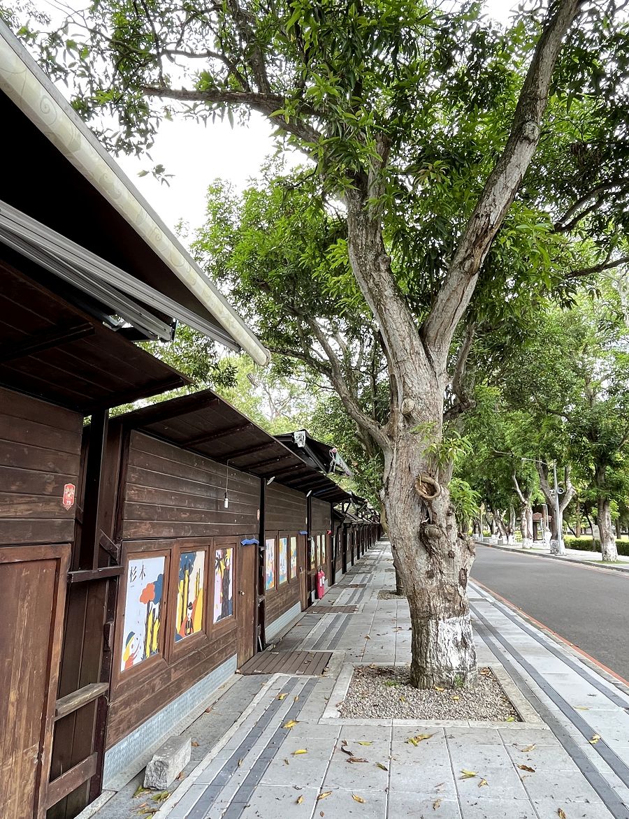 跟著班長去旅行(6)散策在古坑綠色隧道 - 第12張圖