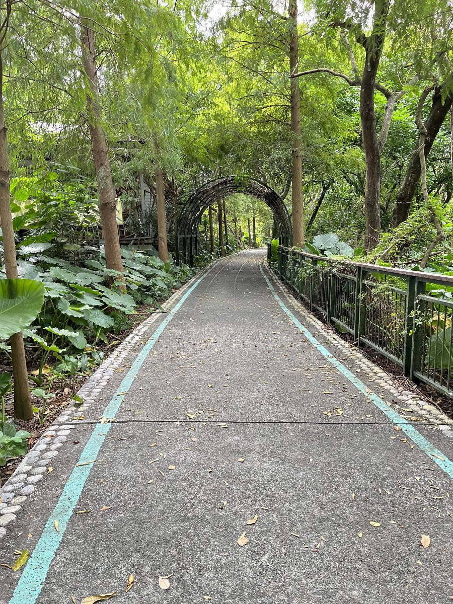 跟著班長去旅行(6)散策在古坑綠色隧道 - 第17張圖