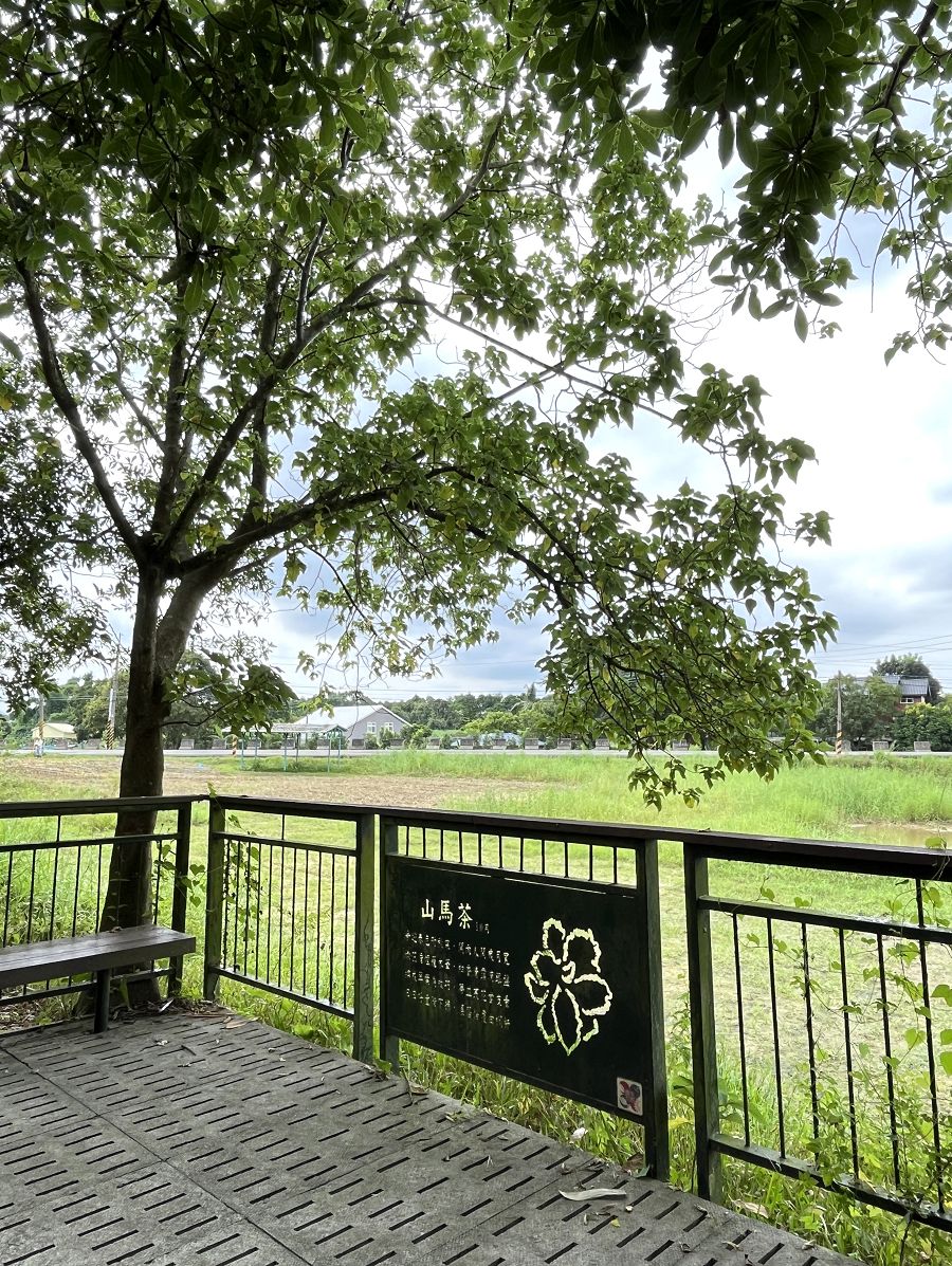 跟著班長去旅行(6)散策在古坑綠色隧道 - 第26張圖