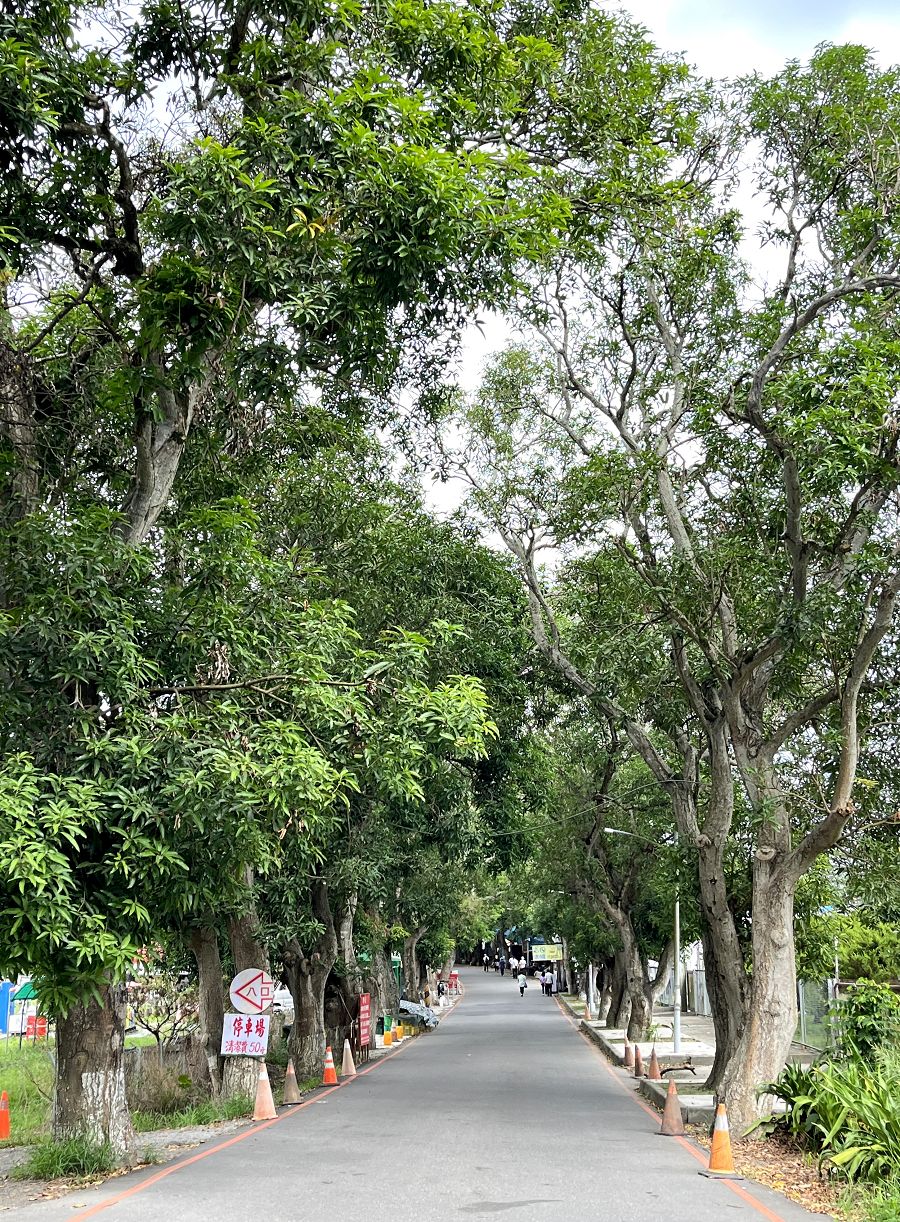 跟著班長去旅行(6)散策在古坑綠色隧道 - 第23張圖