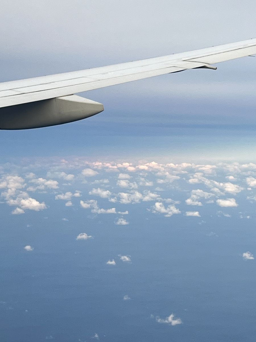 日本追楓趣(4)啟程到東京 - 第20張圖 日本追楓趣(4)啟程到東京