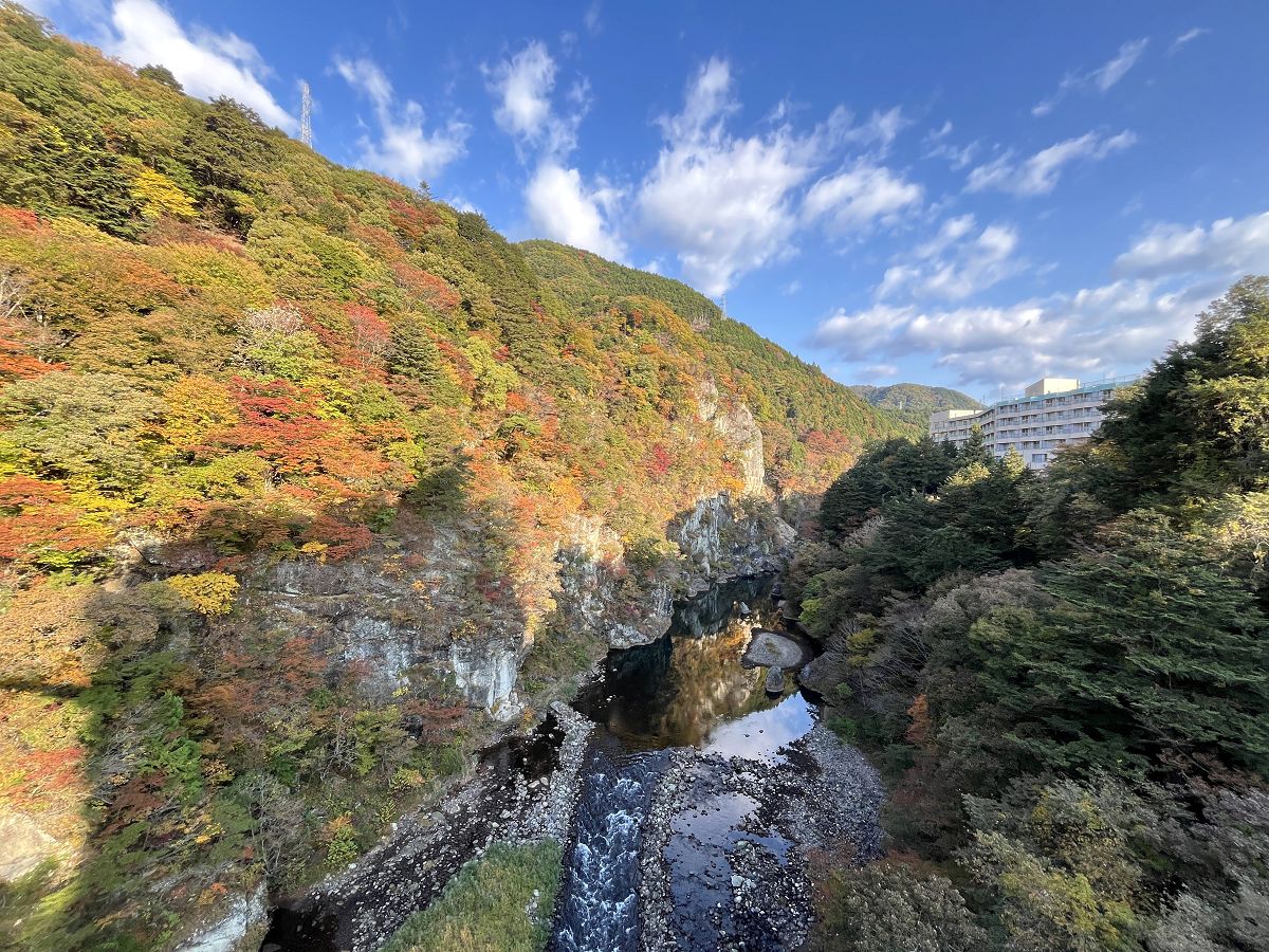 日本追楓趣(3)行程簡述(二) - 第3張圖 日本追楓趣(3)行程簡述(二)