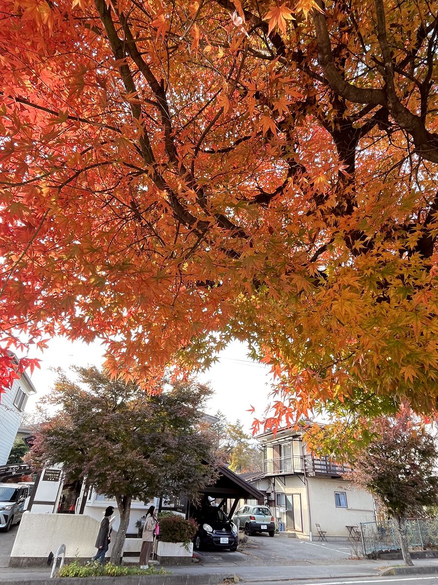 日本追楓趣(3)行程簡述(二) - 第10張圖 日本追楓趣(3)行程簡述(二)