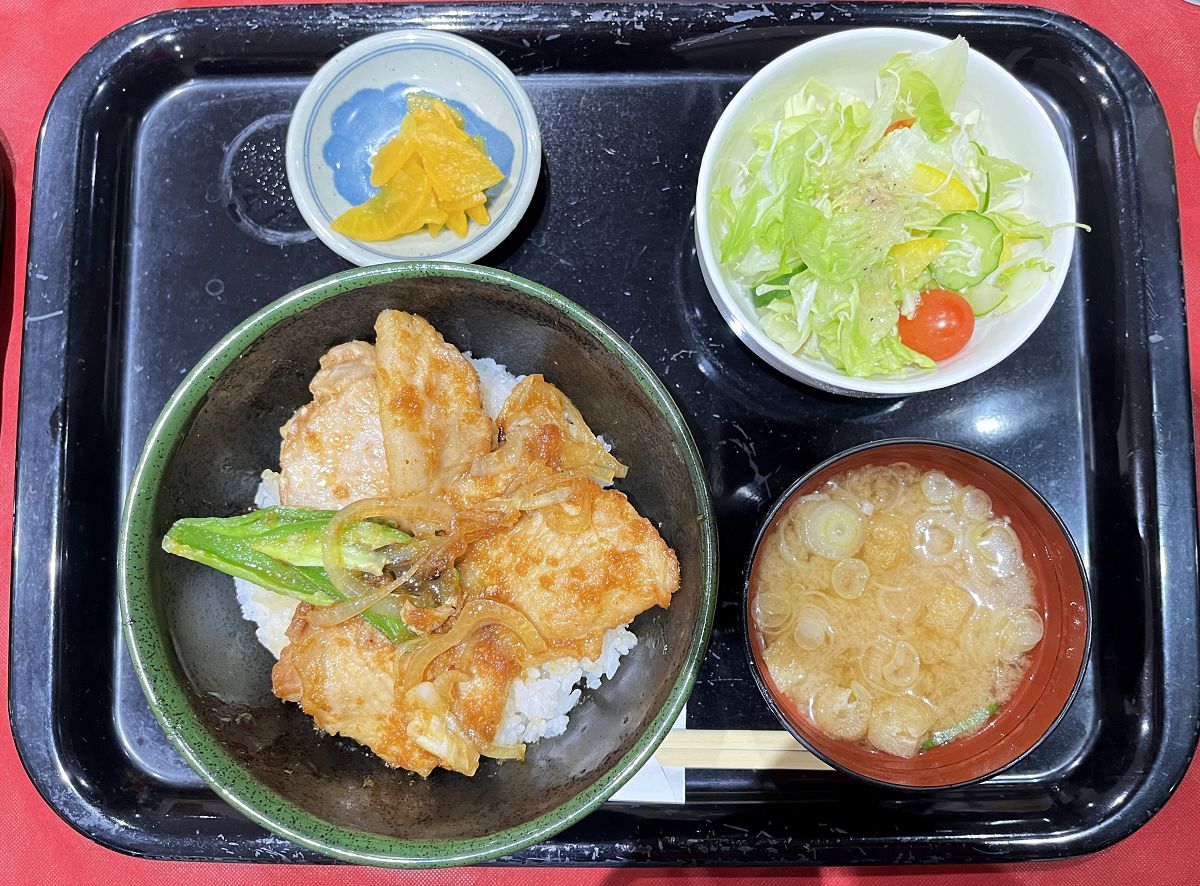 日本追楓趣（3）行程簡述（二）